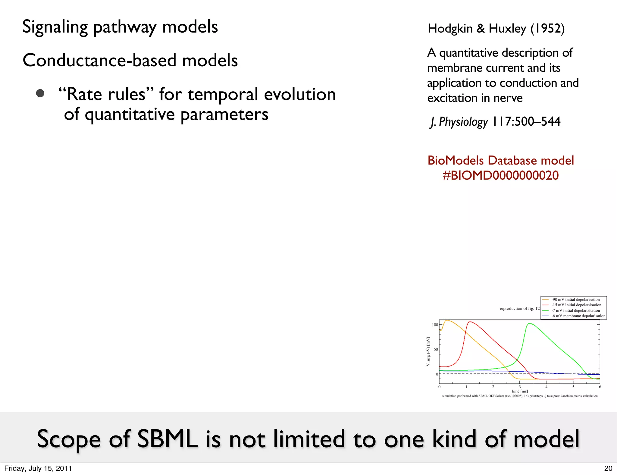 Signaling pathway models                         Hodgkin & Huxley (1952)
                                                      A quantitative description of
     Conductance-based models                         membrane current and its

         •
                                                      application to conduction and
                “Rate rules” for temporal evolution   excitation in nerve
                 of quantitative parameters           J. Physiology 117:500–544

                                                      BioModels Database model
                                                         #BIOMD0000000020




          Scope of SBML is not limited to one kind of model
Friday, July 15, 2011                                                                 20
 