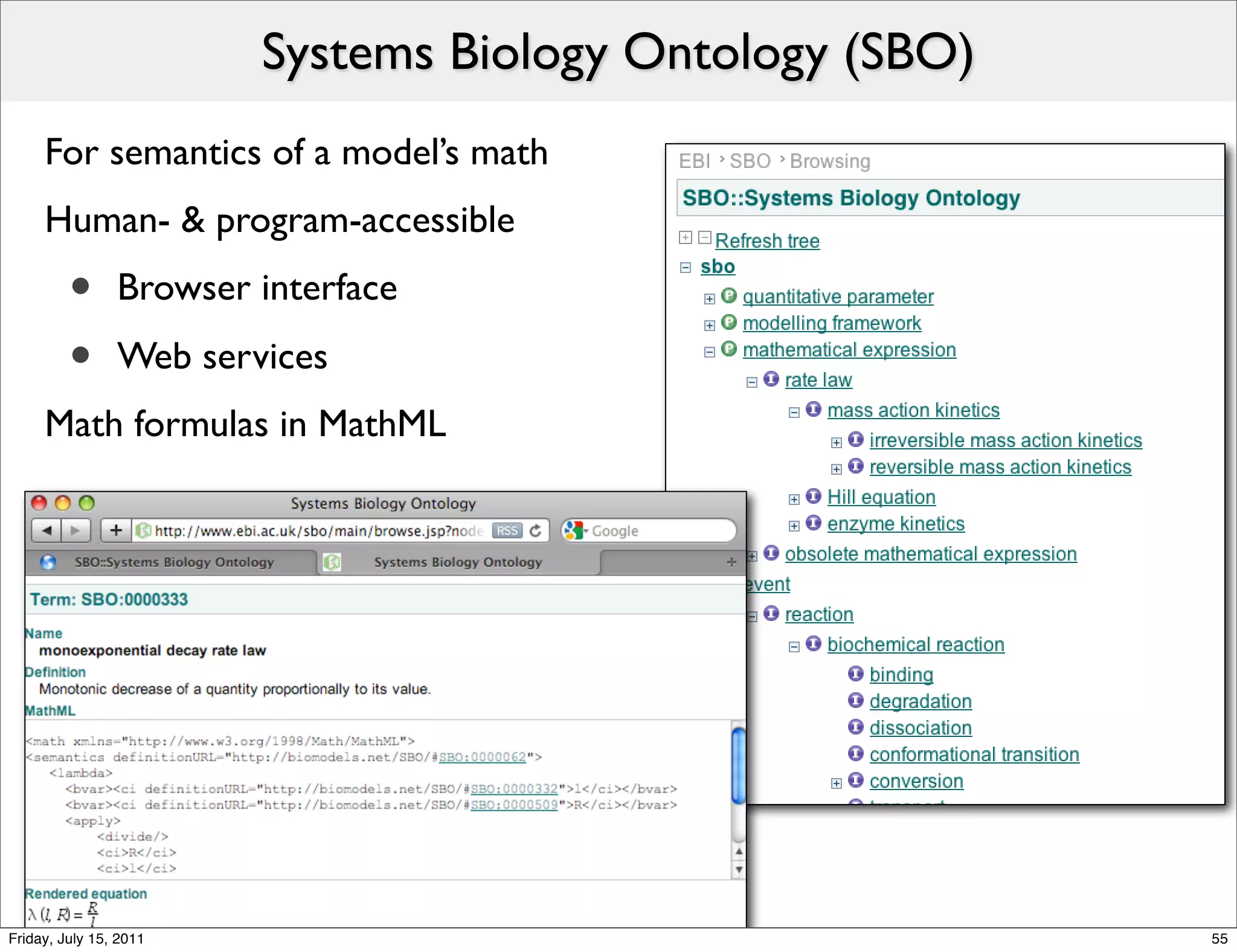 Systems Biology Ontology (SBO)
     For semantics of a model’s math
     Human- & program-accessible
         •      Browser interface

         •      Web services
     Math formulas in MathML




Friday, July 15, 2011                                    55
 