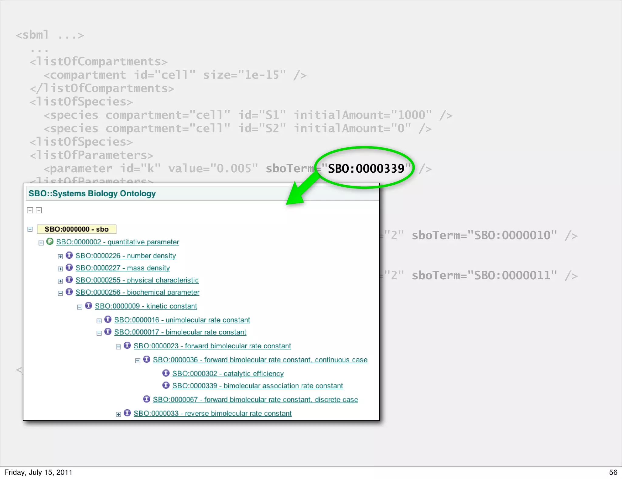 <sbml ...>
     ...
     <listOfCompartments>
       <compartment id="cell" size="1e-15" />
     </listOfCompartments>
     <listOfSpecies>
       <species compartment="cell" id="S1" initialAmount="1000" />
       <species compartment="cell" id="S2" initialAmount="0" />
     <listOfSpecies>
     <listOfParameters>
       <parameter id="k" value="0.005" sboTerm="SBO:0000339" />
                                                SBO:0000339
     <listOfParameters>
     <listOfReactions>
       <reaction id="r1" reversible="false">
         <listOfReactants>
           <speciesReference species="S1" stoichiometry="2" sboTerm="SBO:0000010" />
         </listOfReactants>
         <listOfProducts>
           <speciesReference species="S1" stoichiometry="2" sboTerm="SBO:0000011" />
         </listOfProducts>
         <kineticLaw sboTerm="SBO:0000052">
           <math>
            ...
           <math>
     ...
   </sbml>




Friday, July 15, 2011                                                                  56
 