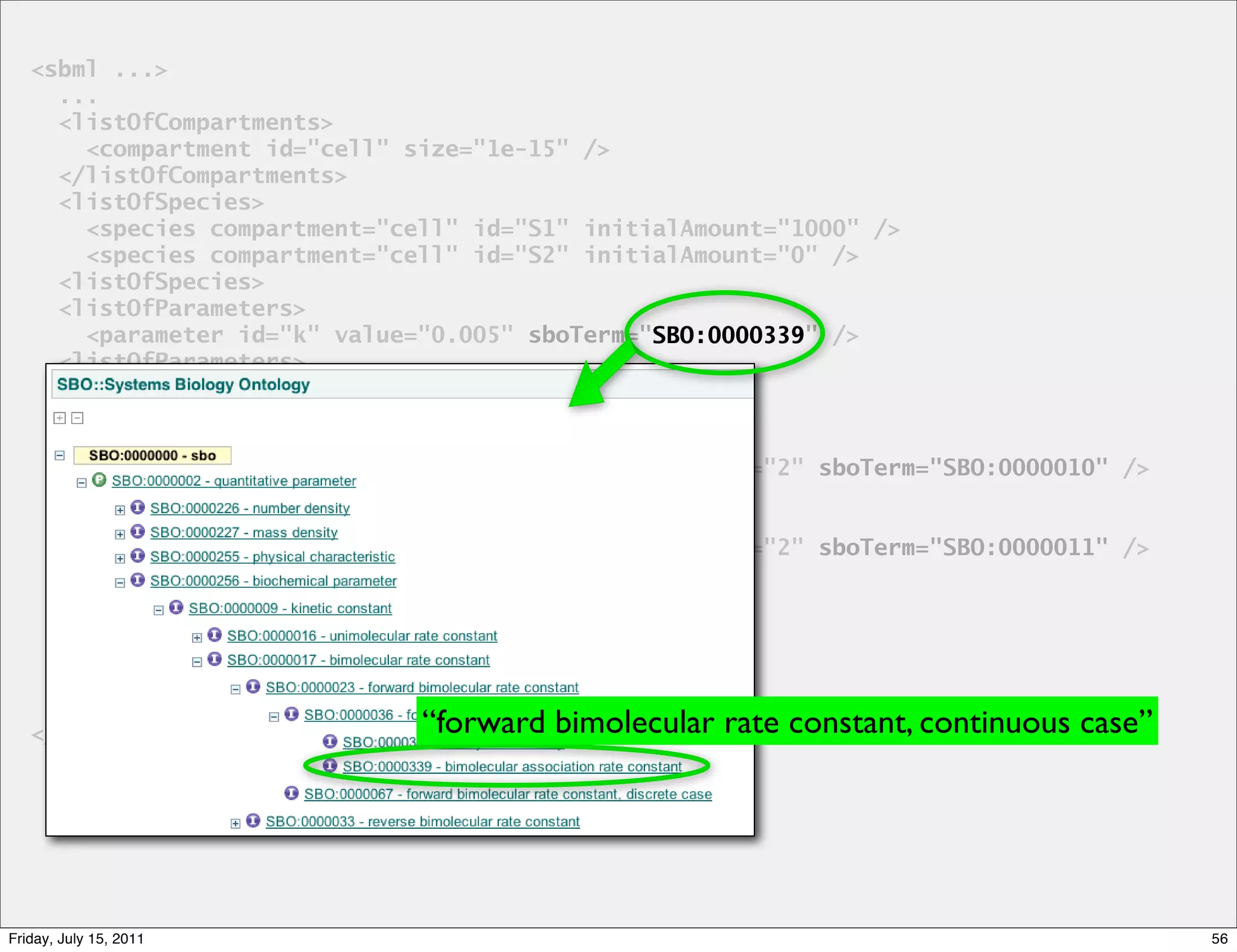 <sbml ...>
     ...
     <listOfCompartments>
       <compartment id="cell" size="1e-15" />
     </listOfCompartments>
     <listOfSpecies>
       <species compartment="cell" id="S1" initialAmount="1000" />
       <species compartment="cell" id="S2" initialAmount="0" />
     <listOfSpecies>
     <listOfParameters>
       <parameter id="k" value="0.005" sboTerm="SBO:0000339" />
                                                SBO:0000339
     <listOfParameters>
     <listOfReactions>
       <reaction id="r1" reversible="false">
         <listOfReactants>
           <speciesReference species="S1" stoichiometry="2" sboTerm="SBO:0000010" />
         </listOfReactants>
         <listOfProducts>
           <speciesReference species="S1" stoichiometry="2" sboTerm="SBO:0000011" />
         </listOfProducts>
         <kineticLaw sboTerm="SBO:0000052">
           <math>
            ...
           <math>
     ...
   </sbml>                     “forward bimolecular rate constant, continuous case”




Friday, July 15, 2011                                                                  56
 