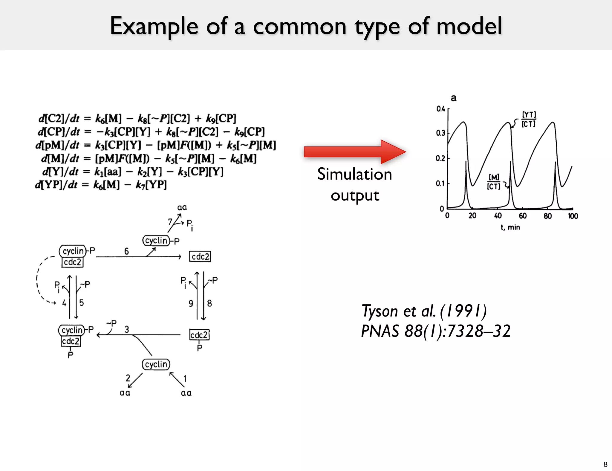 Example of a common type of model




                 Simulation
                   output




                      Tyson et al. (1991)
                      PNAS 88(1):7328–32




                                            8
 