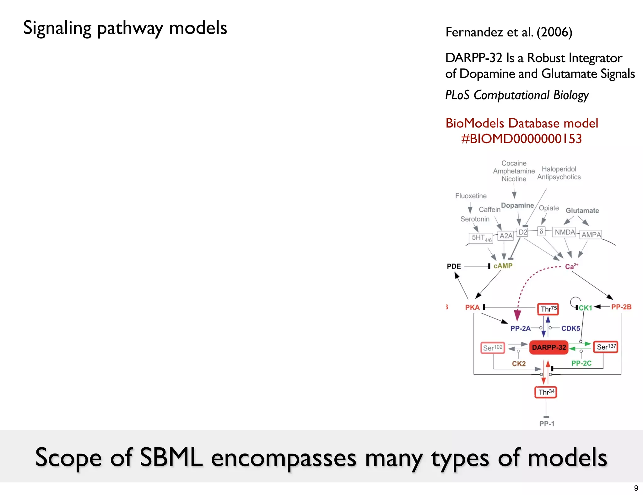 Signaling pathway models         Fernandez et al. (2006)
                                 DARPP-32 Is a Robust Integrator
                                 of Dopamine and Glutamate Signals
                                 PLoS Computational Biology

                                 BioModels Database model
                                    #BIOMD0000000153




 Scope of SBML encompasses many types of models
                                                                 9
 