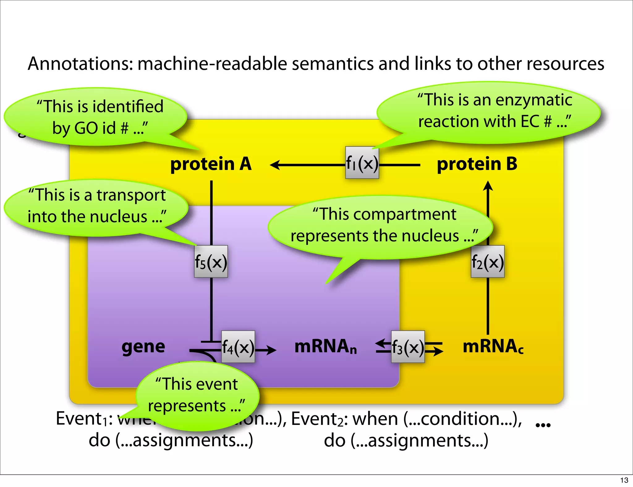 Annotations: machine-readable semantics and links to other resources

   “This is identiﬁed                                   “This is an enzymatic
            c
g1(x)by GO id # ...”                                    reaction with EC # ...”
g2(x)
  .                    protein A             f1(x)           protein B
  .
 “This is a transport
  .         n
 into the nucleus ...”                  “This compartment
                                     represents the nucleus ...”
                         f5(x)                                  f2(x)



              gene           f4(x)   mRNAn           f3(x)     mRNAc
                   “This event
                  represents ...”
     Event1: when (...condition...), Event2: when (...condition...), ...
        do (...assignments...)          do (...assignments...)
                                                                                  13
 