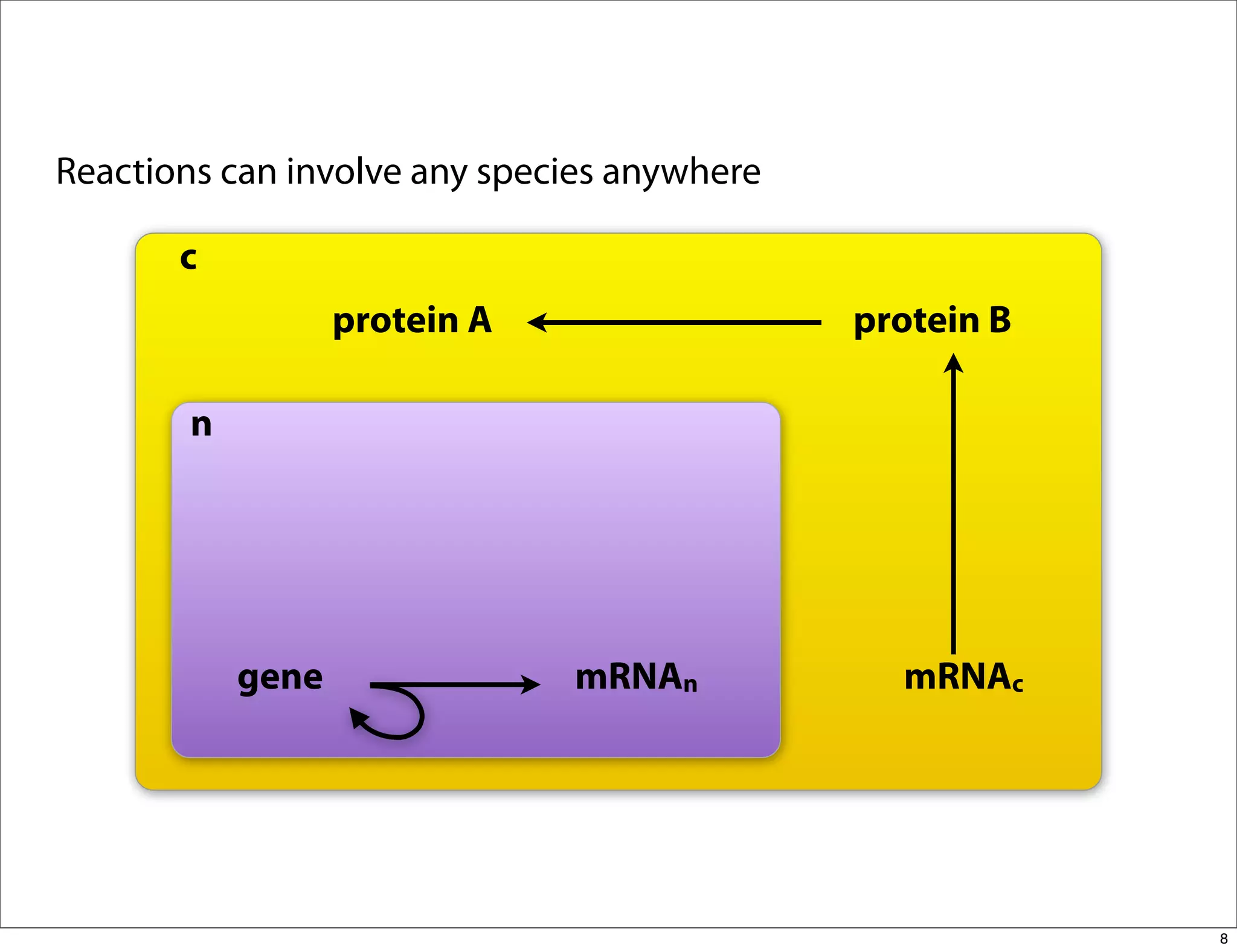Reactions can involve any species anywhere

       c
                   protein A                 protein B

        n




            gene               mRNAn           mRNAc




                                                         8
 