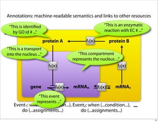 Annotations: machine-readable semantics and links to other resources

   “This is identiﬁed                                   “This is an enzymatic
            c
g1(x)by GO id # ...”                                    reaction with EC # ...”
g2(x)
  .                    protein A             f1(x)           protein B
  .
 “This is a transport
  .         n
 into the nucleus ...”                  “This compartment
                                     represents the nucleus ...”
                         f5(x)                                  f2(x)



              gene           f4(x)   mRNAn           f3(x)     mRNAc
                   “This event
                  represents ...”
     Event1: when (...condition...), Event2: when (...condition...), ...
        do (...assignments...)          do (...assignments...)
                                                                                  13
 