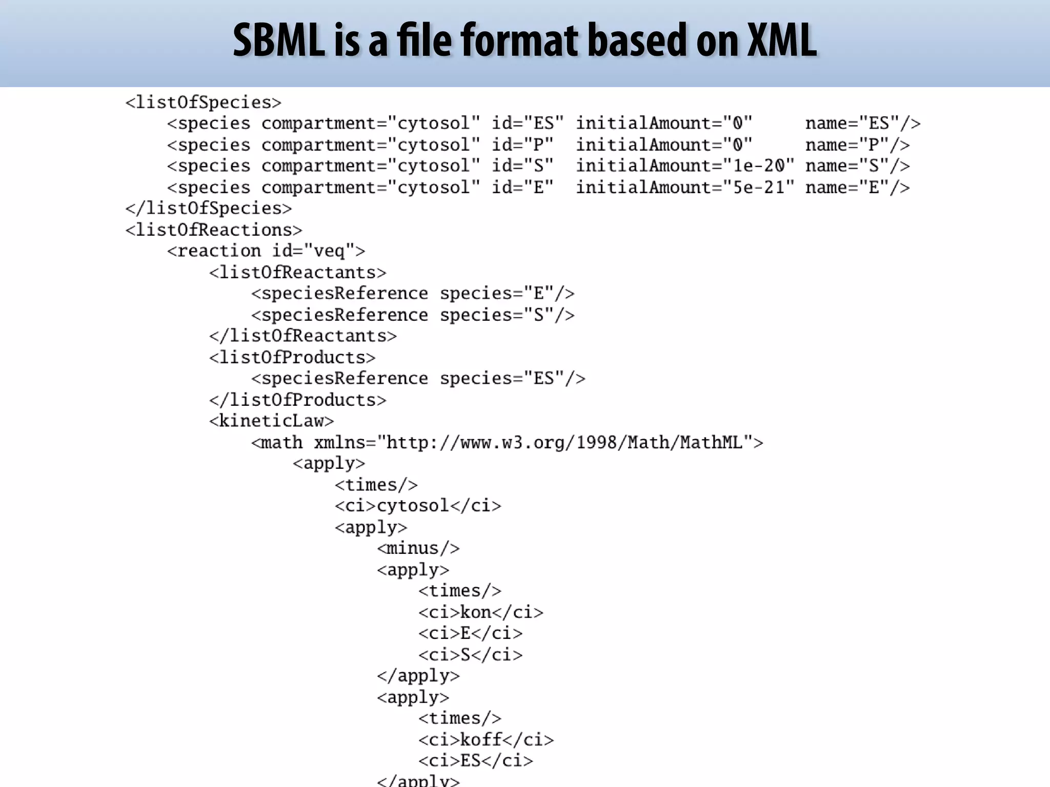 SBML is a file format based on XML 
 