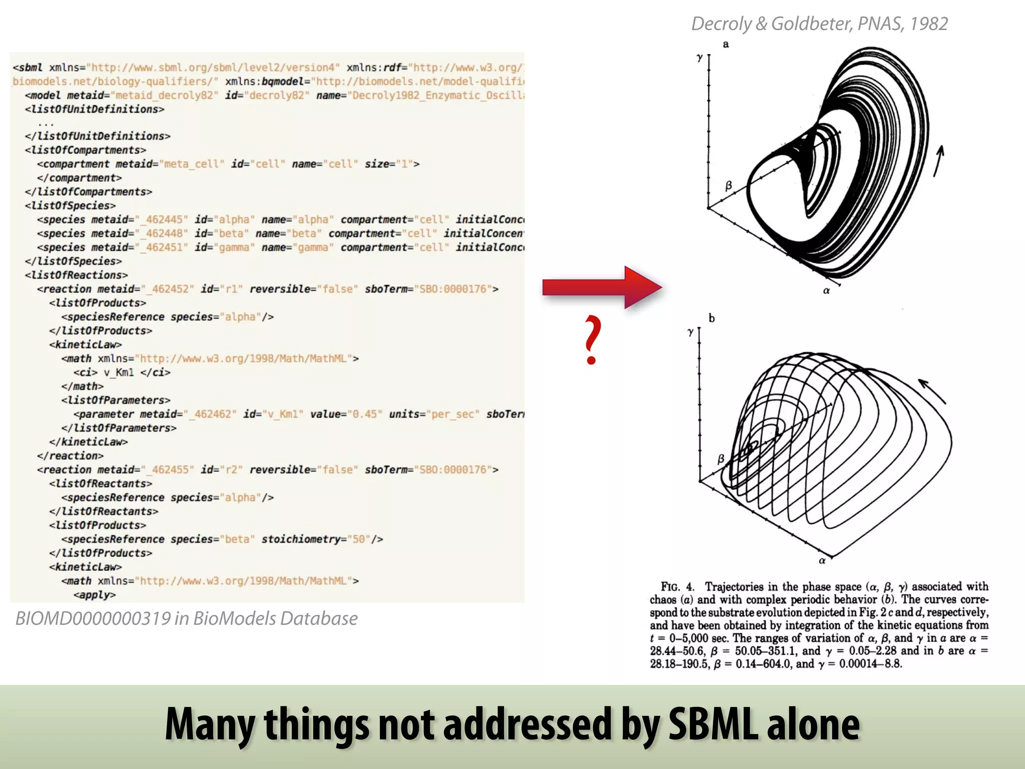? 
BIOMD0000000319 in BioModels Database 
Decroly & Goldbeter, PNAS, 1982 
Many things not addressed by SBML alone 
 
