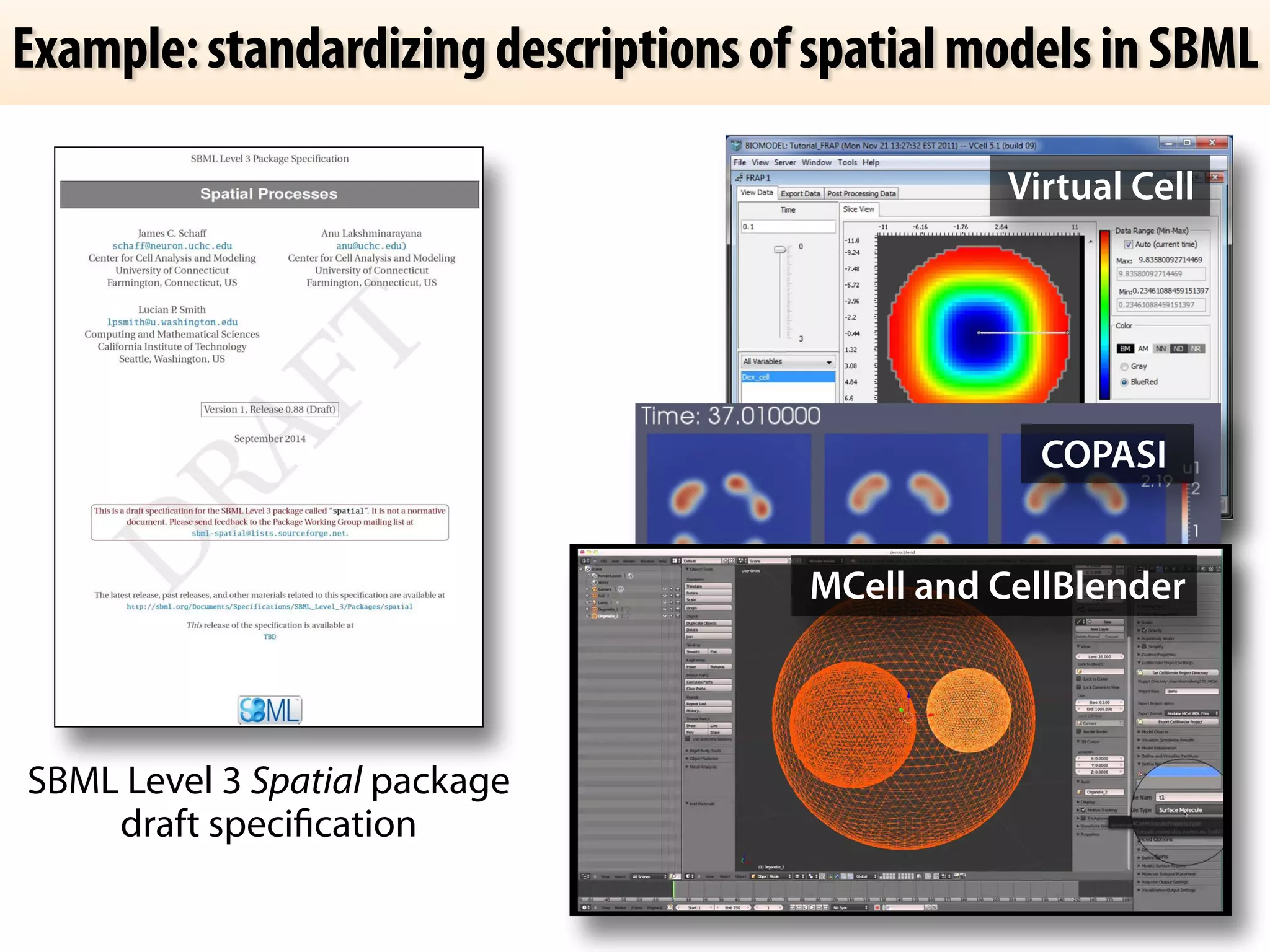 Example: standardizing descriptions of spatial models in SBML 
Virtual Cell 
SBML Level 3 Spatial package 
draft specification 
COPASI 
MCell and CellBlender 
 