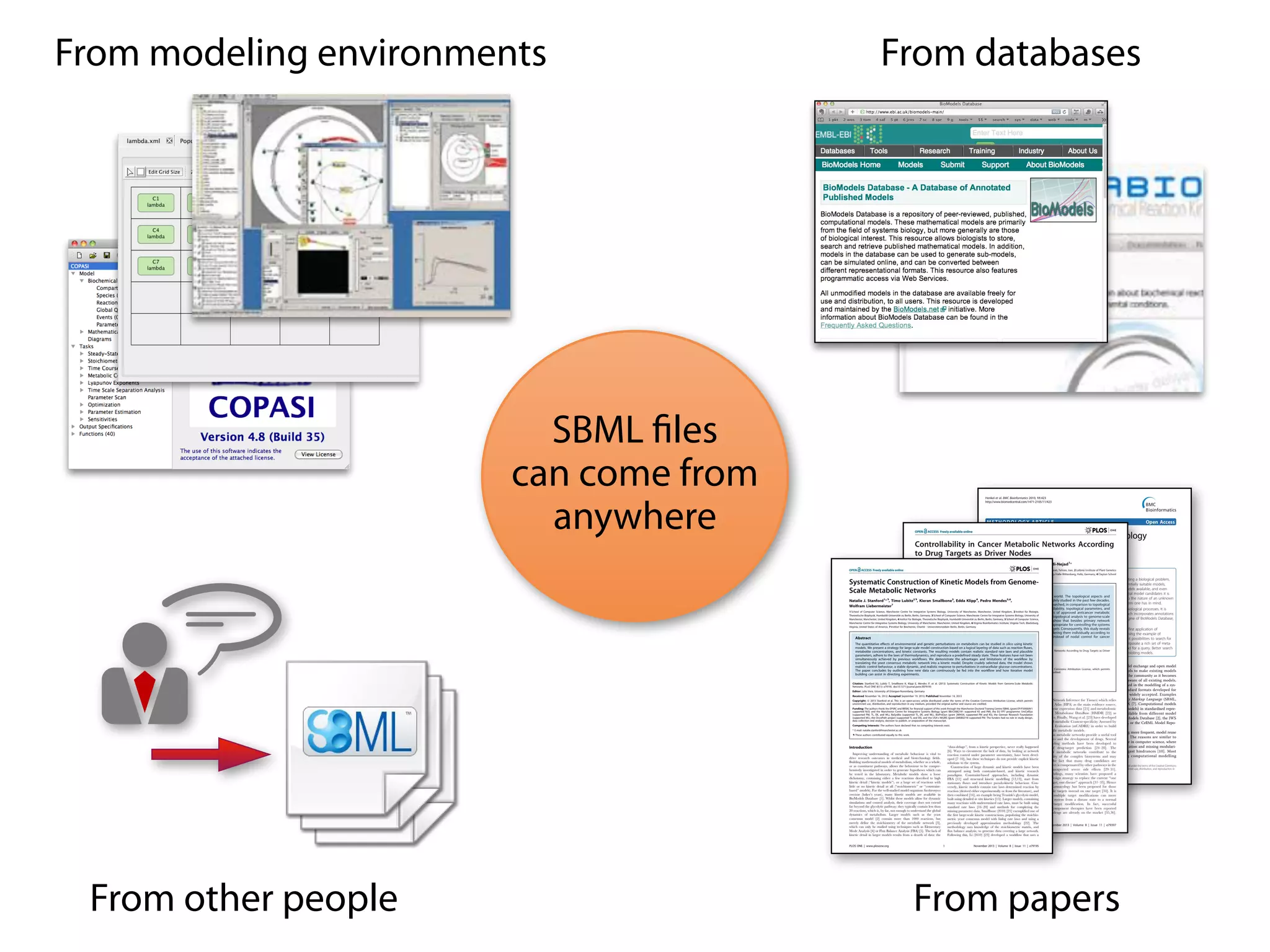 From modeling environments From databases 
SBML files 
can come from 
anywhere 
From other people From papers 
 