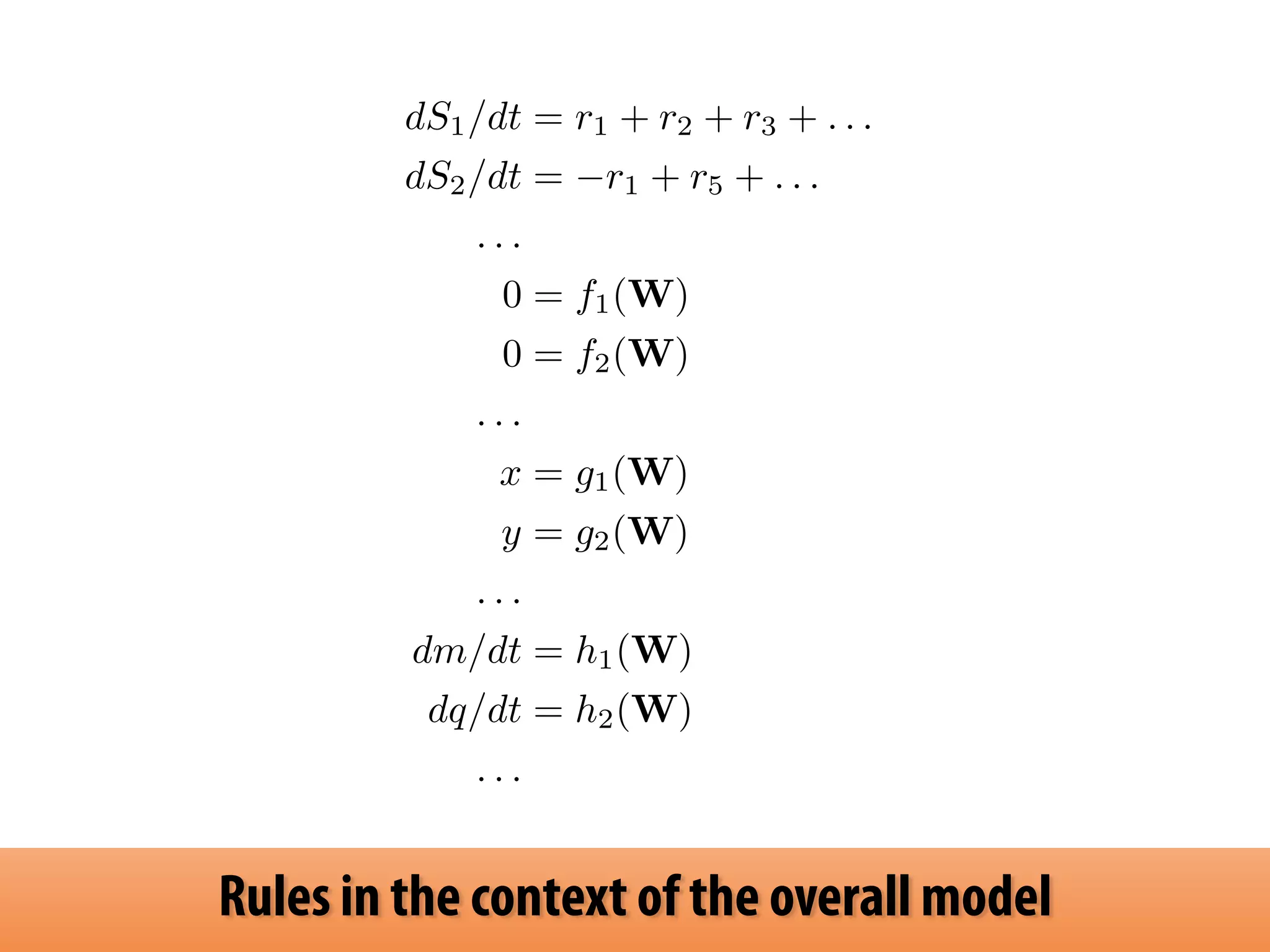 dS1/dt = r1 + r2 + r3 + . . . 
dS2/dt = r1 + r5 + . . . 
. . . 
0 = f1(W) 
0 = f2(W) 
. . . 
x = g1(W) 
y = g2(W) 
. . . 
dm/dt = h1(W) 
dq/dt = h2(W) 
. . . 
Rules in the context of the overall model 
 