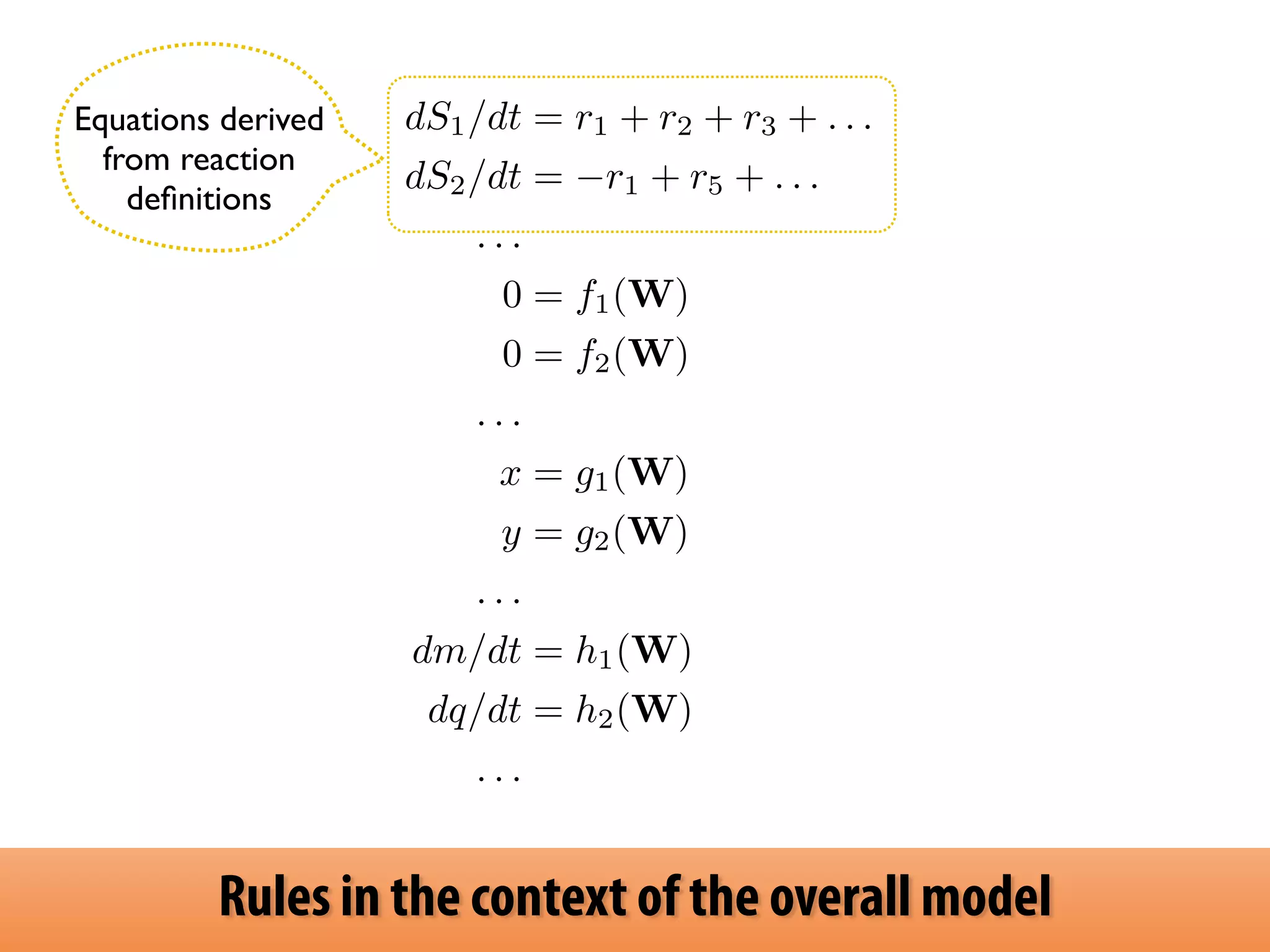 dS1/dt = r1 + r2 + r3 + . . . 
dS2/dt = r1 + r5 + . . . 
. . . 
0 = f1(W) 
0 = f2(W) 
. . . 
x = g1(W) 
y = g2(W) 
. . . 
dm/dt = h1(W) 
dq/dt = h2(W) 
. . . 
Equations derived 
from reaction 
definitions 
Rules in the context of the overall model 
 