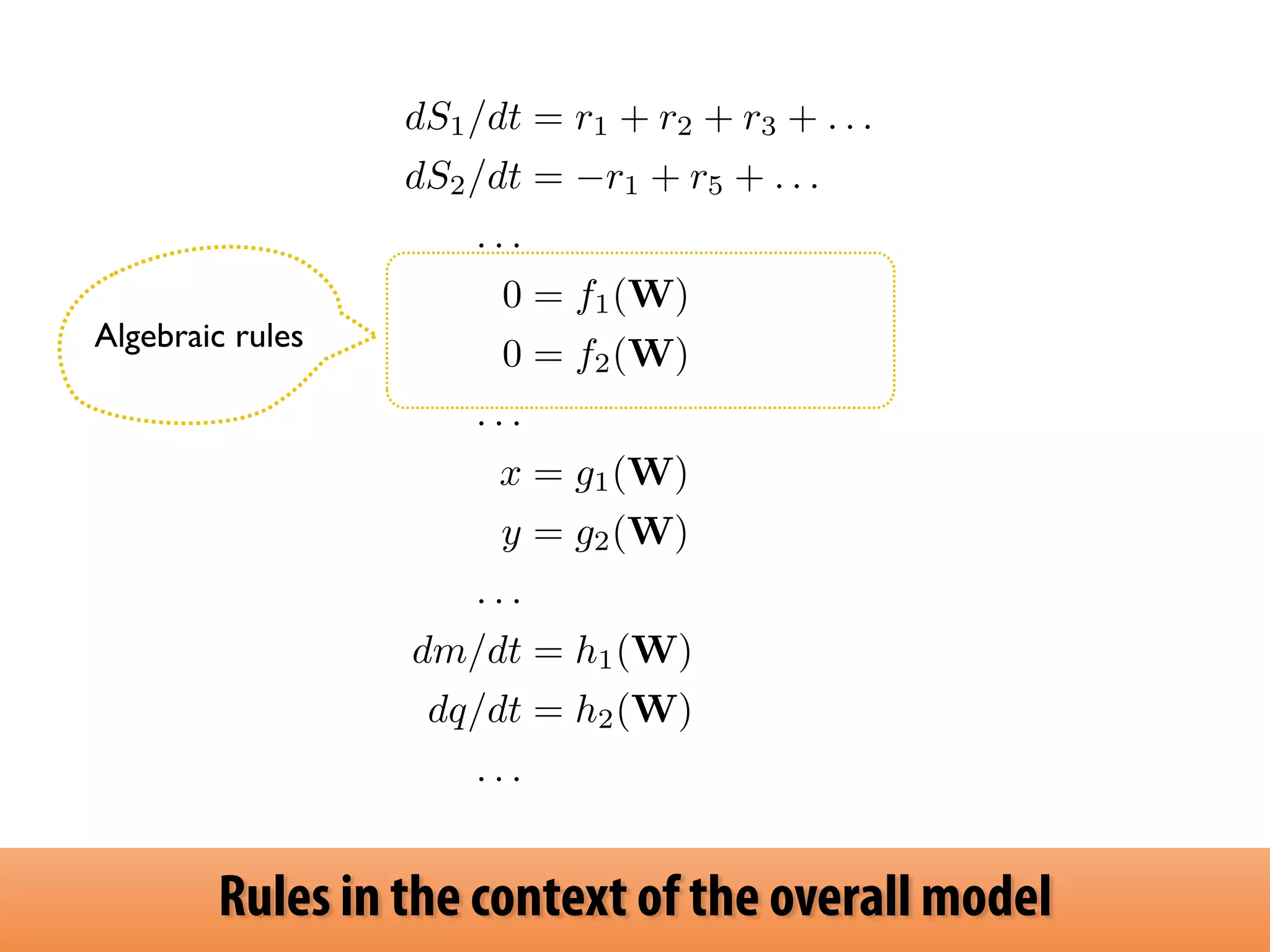dS1/dt = r1 + r2 + r3 + . . . 
dS2/dt = r1 + r5 + . . . 
. . . 
0 = f1(W) 
0 = f2(W) 
. . . 
x = g1(W) 
y = g2(W) 
. . . 
dm/dt = h1(W) 
dq/dt = h2(W) 
. . . 
Algebraic rules 
Rules in the context of the overall model 
 