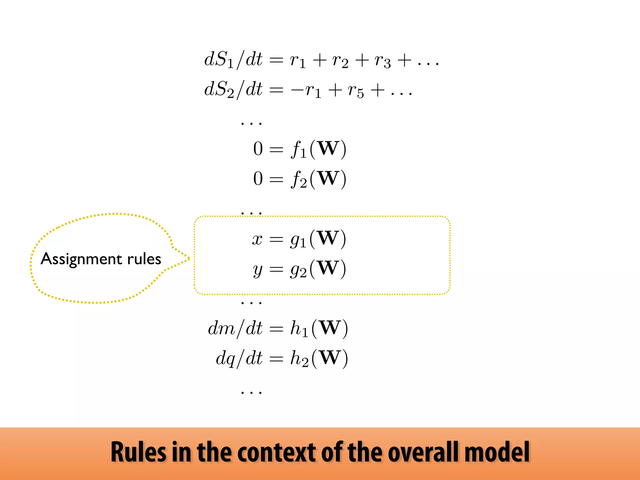 dS1/dt = r1 + r2 + r3 + . . . 
dS2/dt = r1 + r5 + . . . 
. . . 
0 = f1(W) 
0 = f2(W) 
. . . 
x = g1(W) 
y = g2(W) 
. . . 
dm/dt = h1(W) 
dq/dt = h2(W) 
. . . 
Assignment rules 
Rules in the context of the overall model 
 