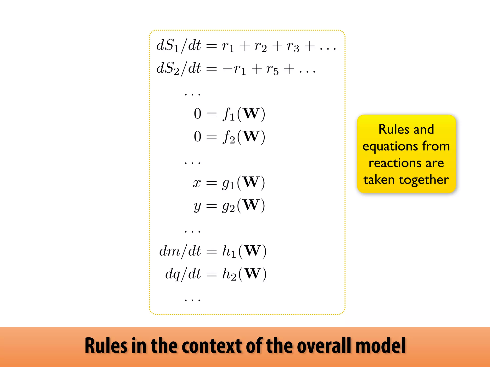 Rules and 
equations from 
reactions are 
taken together 
dS1/dt = r1 + r2 + r3 + . . . 
dS2/dt = r1 + r5 + . . . 
. . . 
0 = f1(W) 
0 = f2(W) 
. . . 
x = g1(W) 
y = g2(W) 
. . . 
dm/dt = h1(W) 
dq/dt = h2(W) 
. . . 
Rules in the context of the overall model 
 