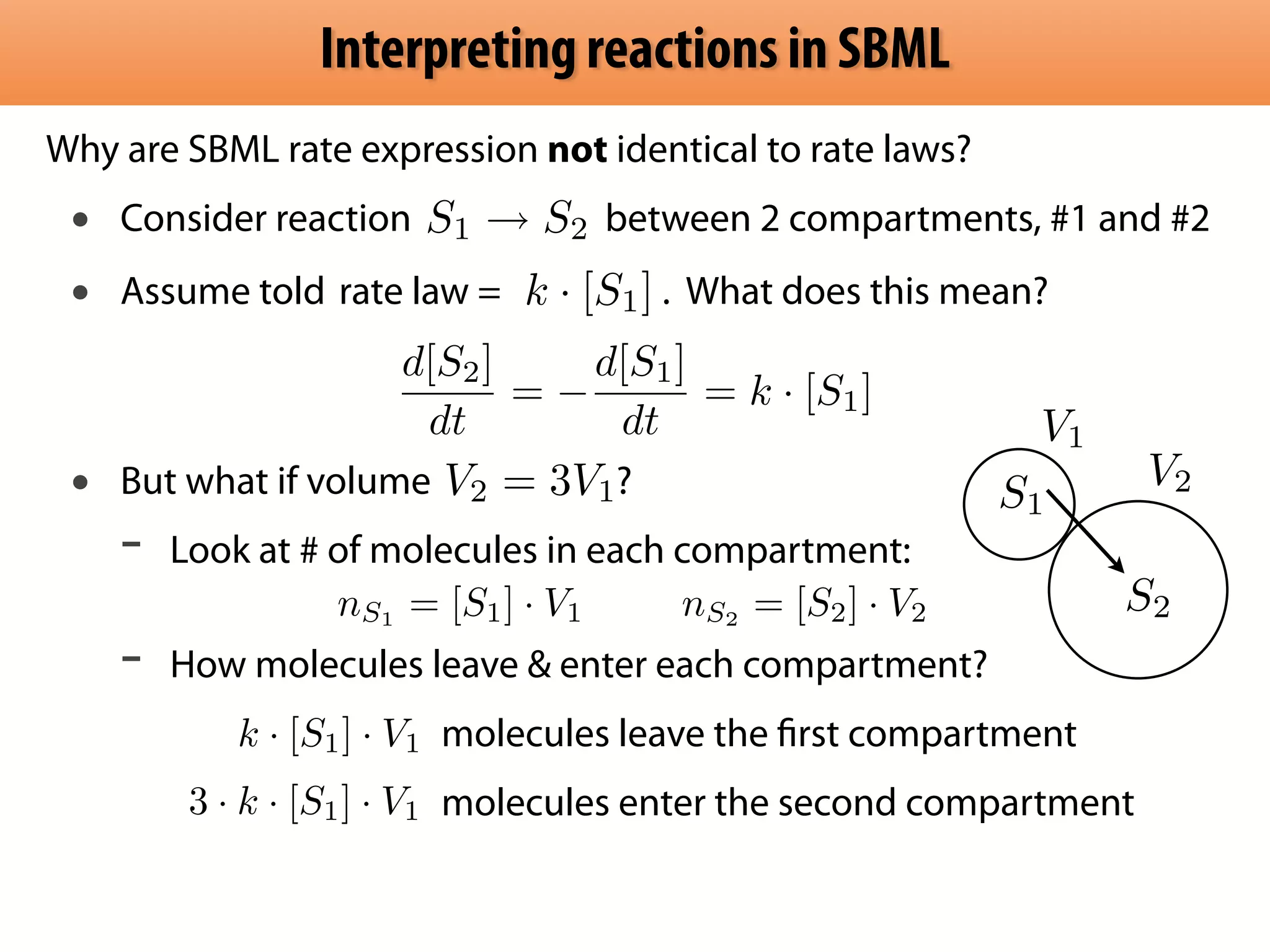 Interpreting reactions in SBML 
Why are SBML rate expression not identical to rate laws? 
• Consider reaction S1  S2 
between 2 compartments, #1 and #2 
• Assume told . What does this mean? 
rartaetel alaww == k · [S1] 
! 
• But what if volume ? 
- Look at # of molecules in each compartment: 
! - How molecules leave  enter each compartment? 
V1 
S1 
S2 
molecules leave the first compartment 
molecules enter the second compartment 
V2 
d[S2] 
dt 
=  
d[S1] 
dt 
= k · [S1] 
V2 = 3V1 
nS1 = [S1] · V1 nS2 = [S2] · V2 
k · [S1] · V1 
3 · k · [S1] · V1 
 