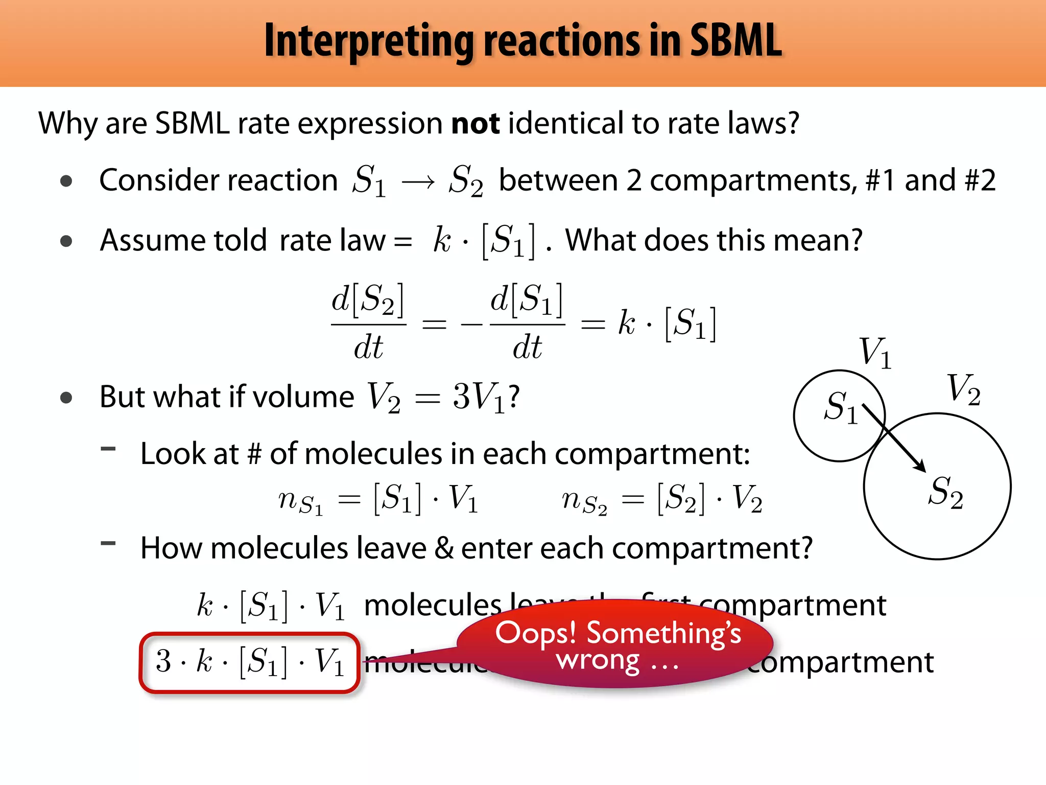 Interpreting reactions in SBML 
Why are SBML rate expression not identical to rate laws? 
• Consider reaction S1  S2 
between 2 compartments, #1 and #2 
• Assume told . What does this mean? 
rartaetel alaww == k · [S1] 
! 
• But what if volume ? 
- Look at # of molecules in each compartment: 
! - How molecules leave  enter each compartment? 
V1 
S1 
S2 
molecules leave the first compartment 
molecules enter the second compartment 
V2 
d[S2] 
dt 
=  
d[S1] 
dt 
= k · [S1] 
V2 = 3V1 
nS1 = [S1] · V1 nS2 = [S2] · V2 
k · [S1] · V1 
3 · k · [S1] · V1 
Oops! Something’s 
wrong … 
 