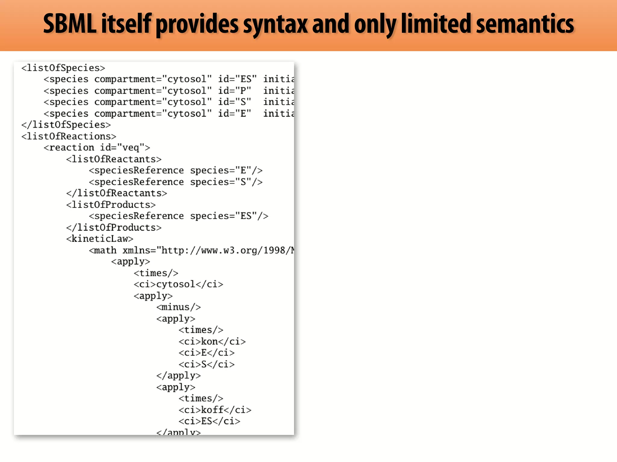 SBML itself provides syntax and only limited semantics 
 