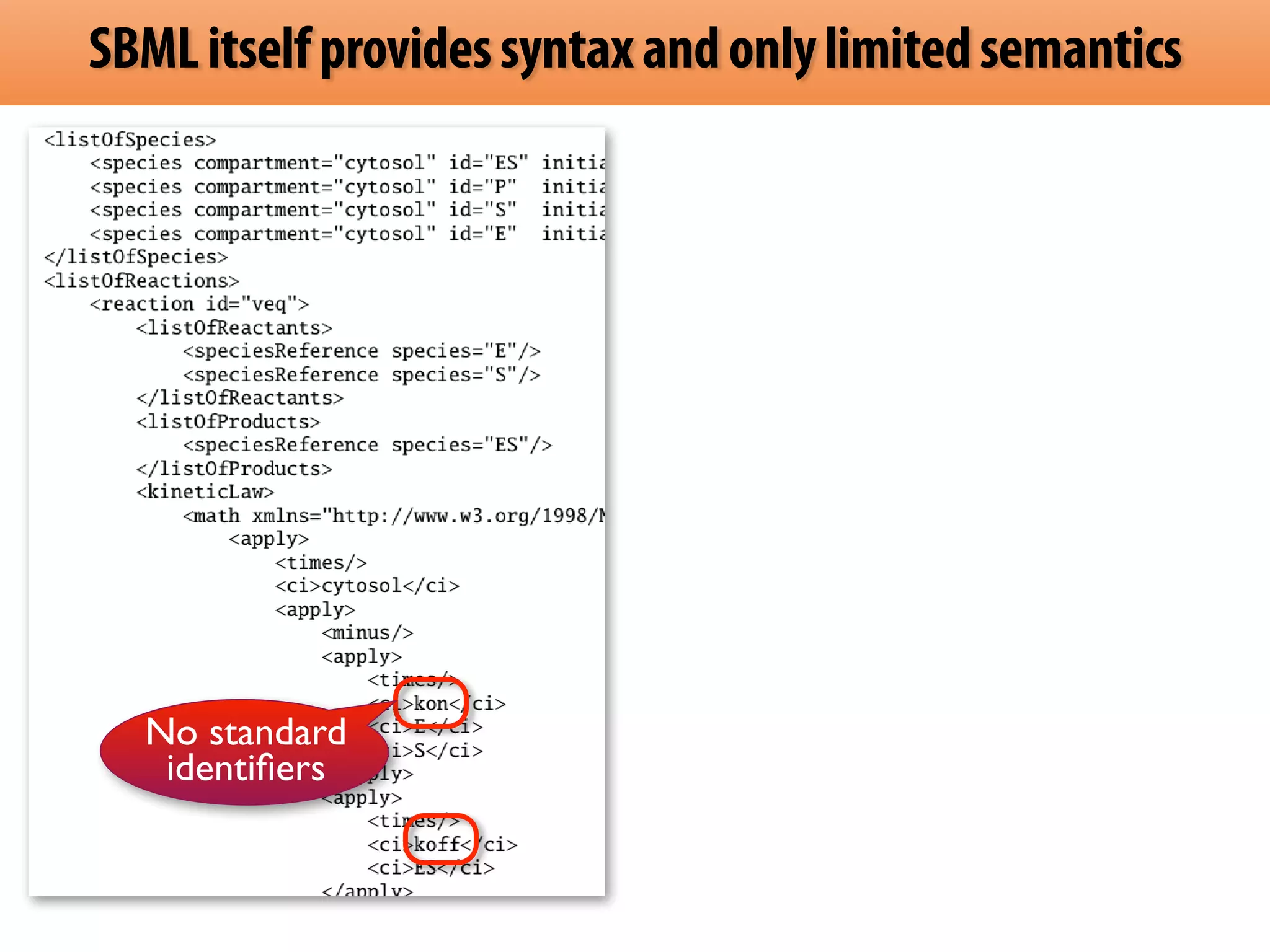 SBML itself provides syntax and only limited semantics 
No standard 
identifiers 
 