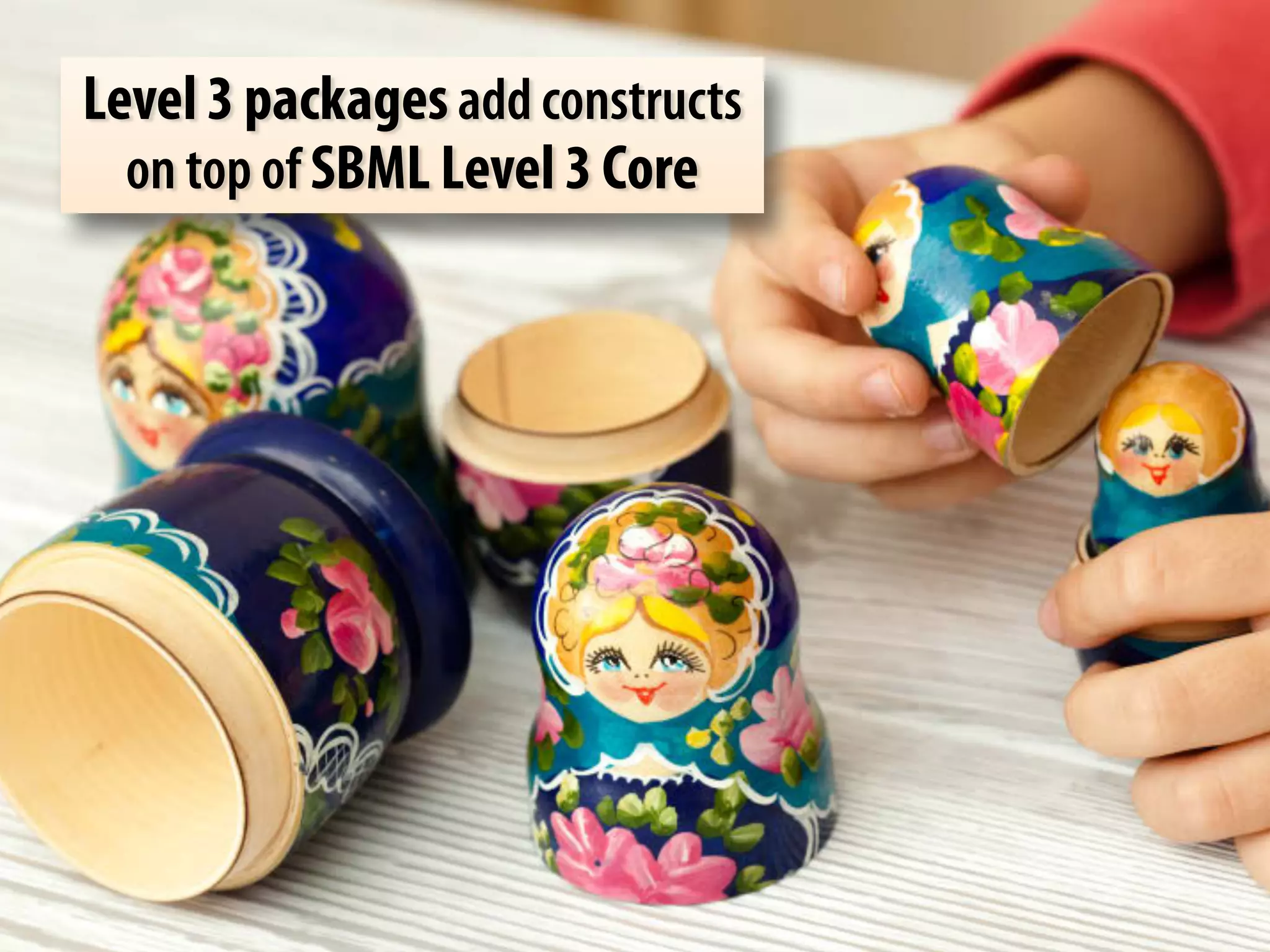 Level 3 packages add constructs 
on top of SBML Level 3 Core 
 