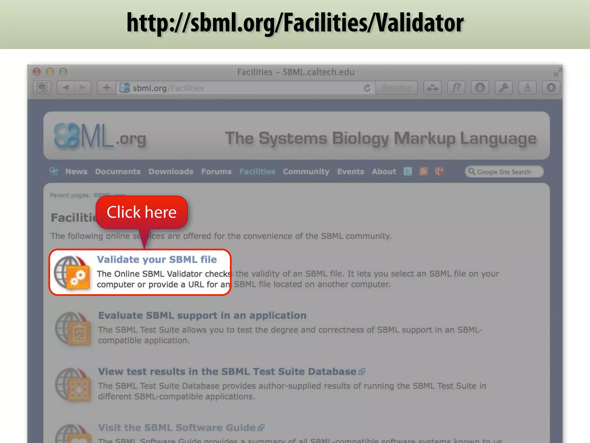 http://sbml.org/Facilities/Validator 
Find it 
here 
Click here 
 