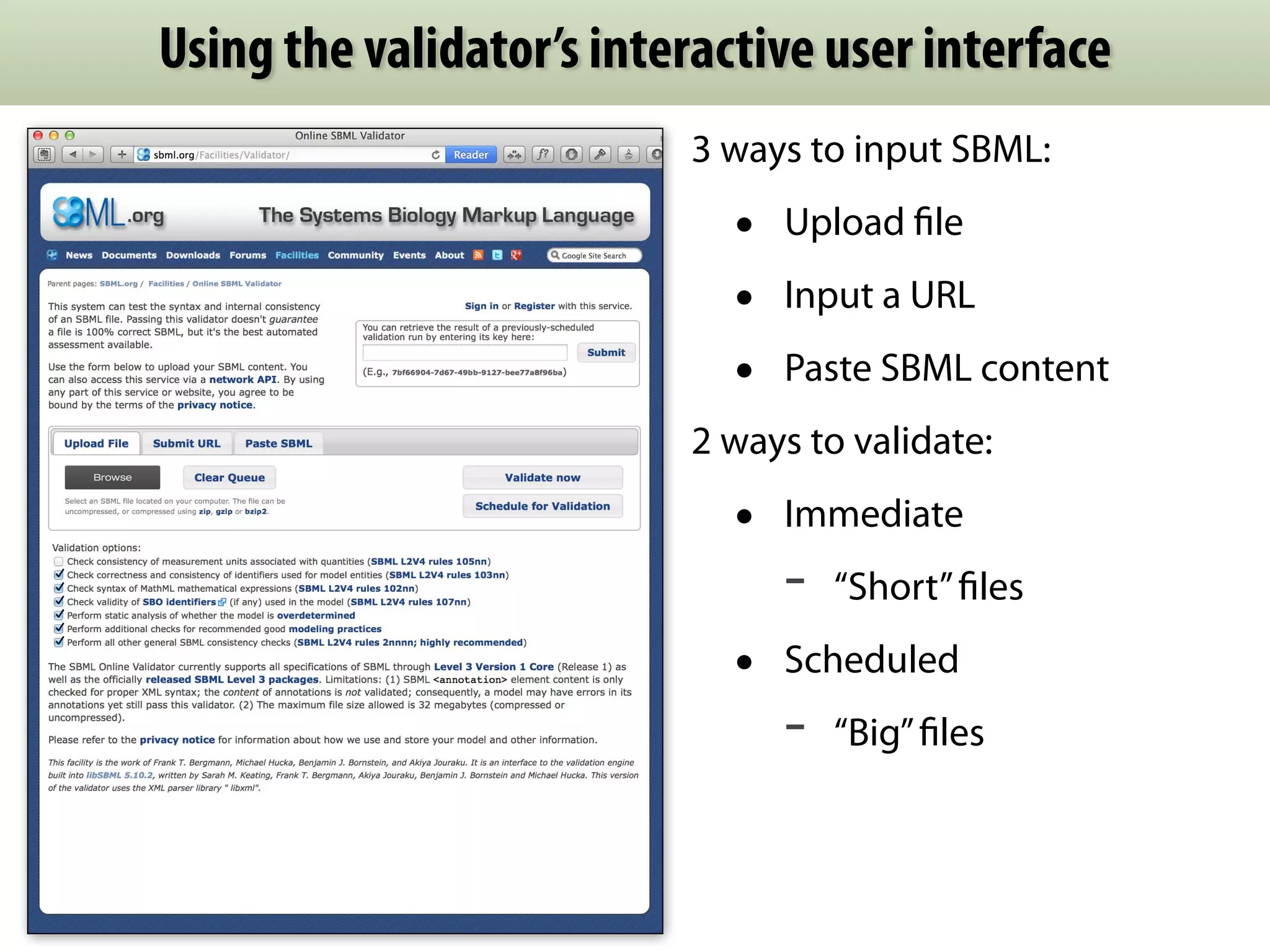 Using the validator’s interactive user interface 
3 ways to input SBML: 
• Upload file 
• Input a URL 
• Paste SBML content 
2 ways to validate: 
• Immediate 
- “Short” files 
• Scheduled 
- “Big” files 
 