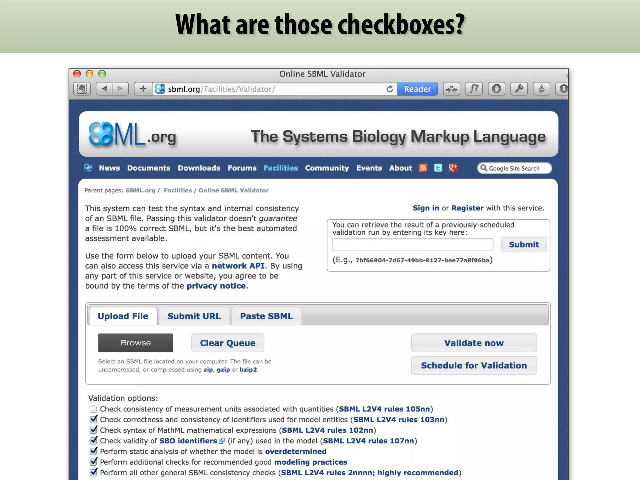 What are those checkboxes? 
 
