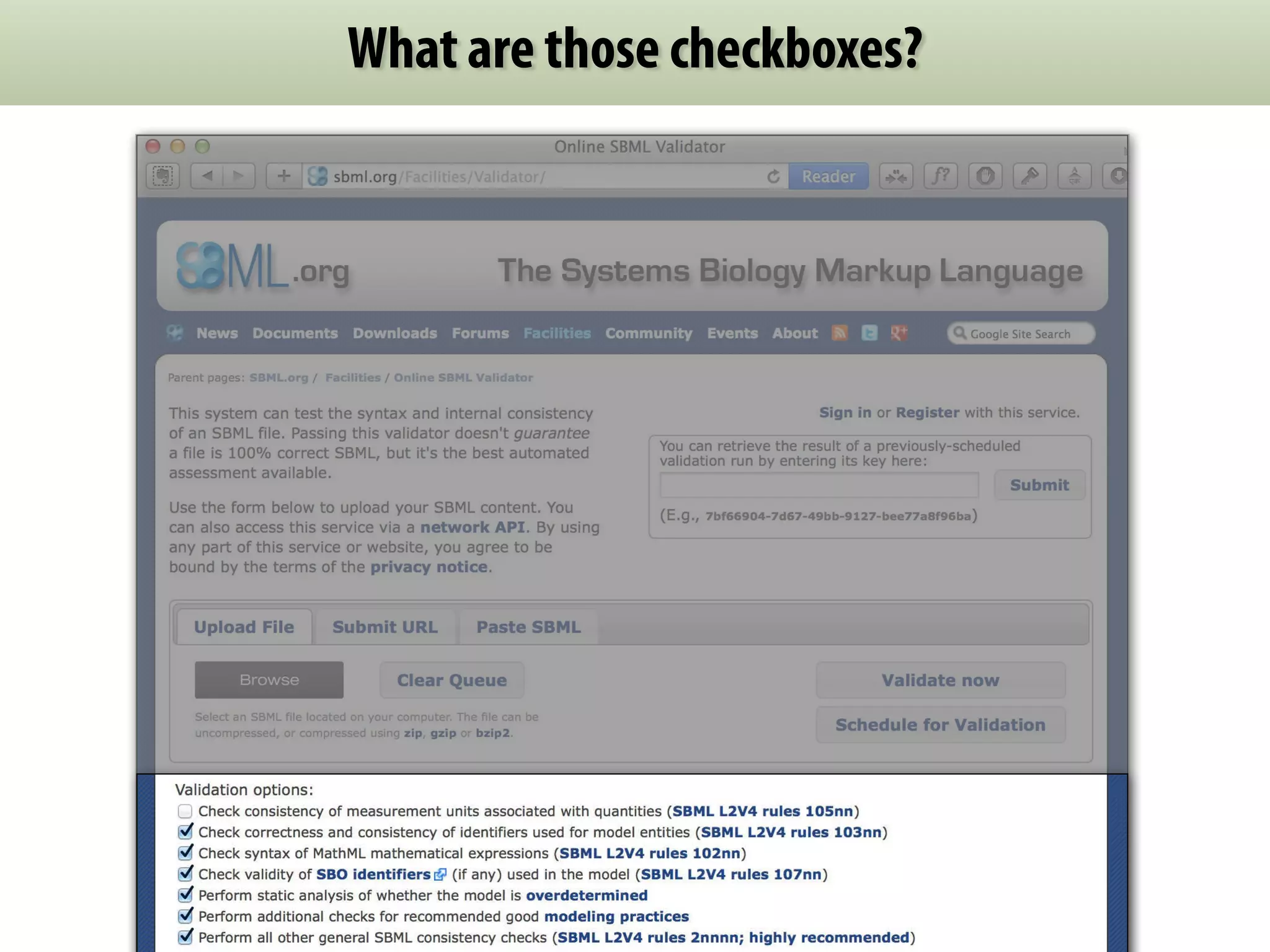 What are those checkboxes? 
 