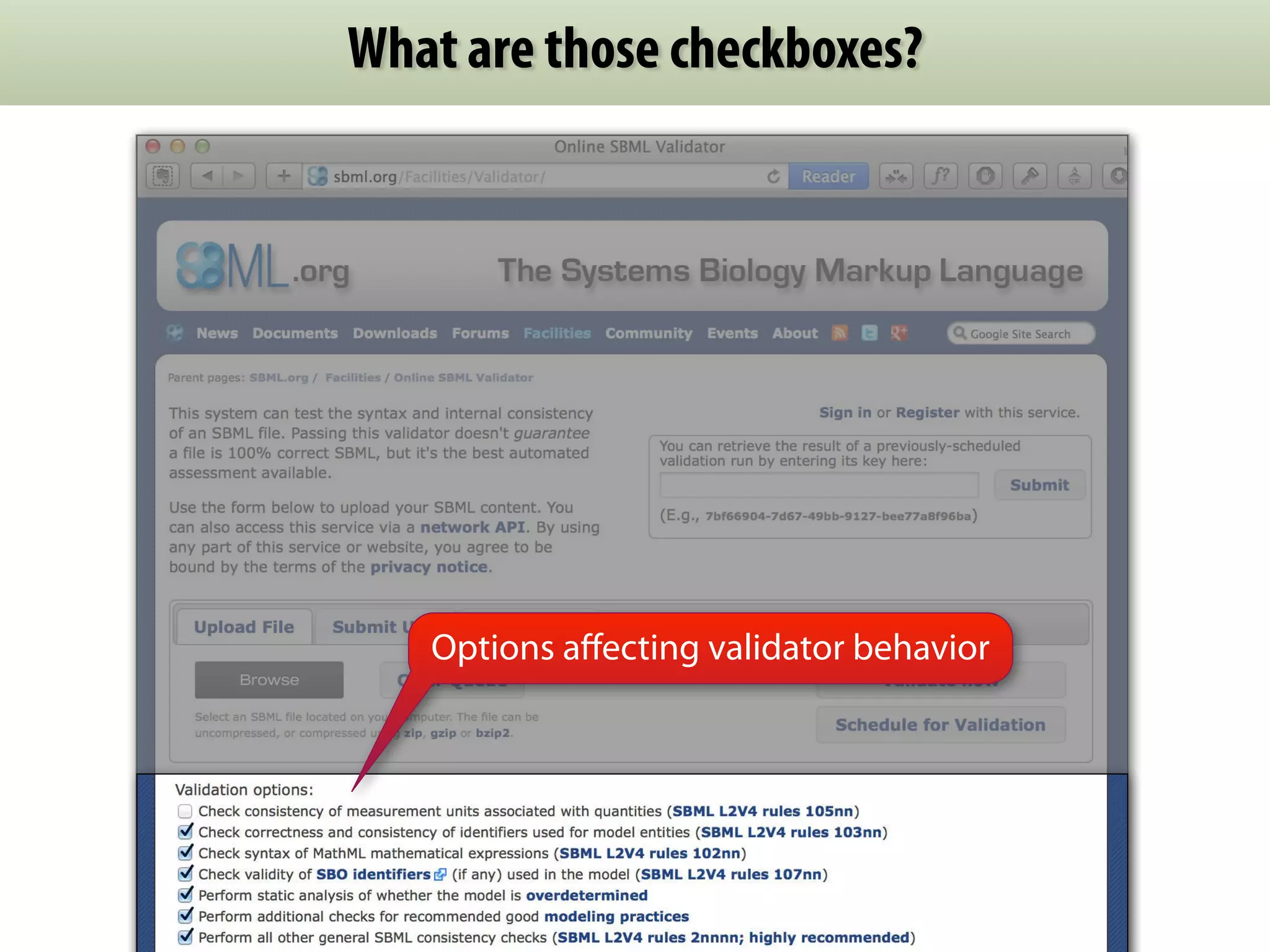 What are those checkboxes? 
Options affecting validator behavior 
 