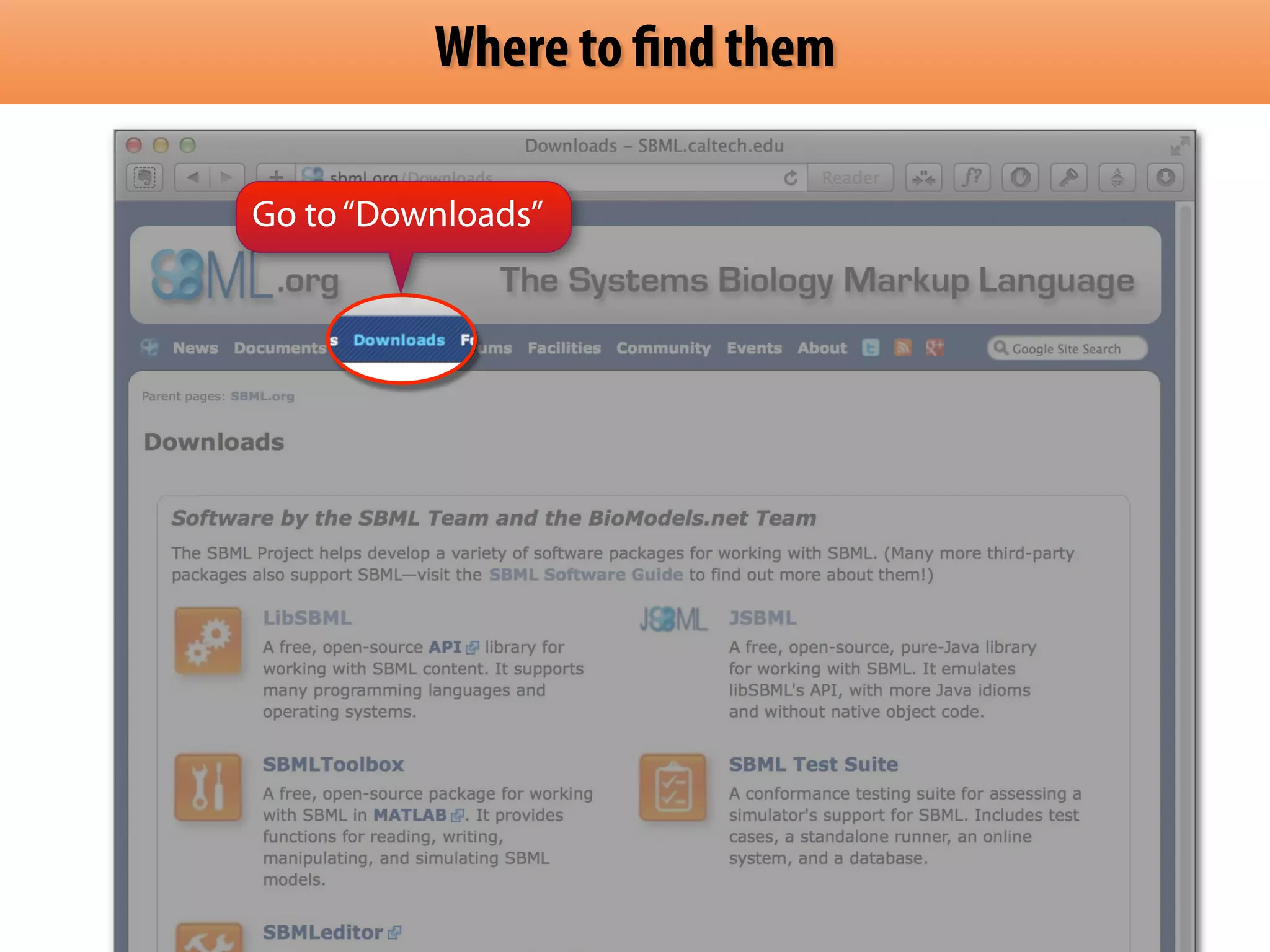 Where to find them 
Go to “Downloads” 
 