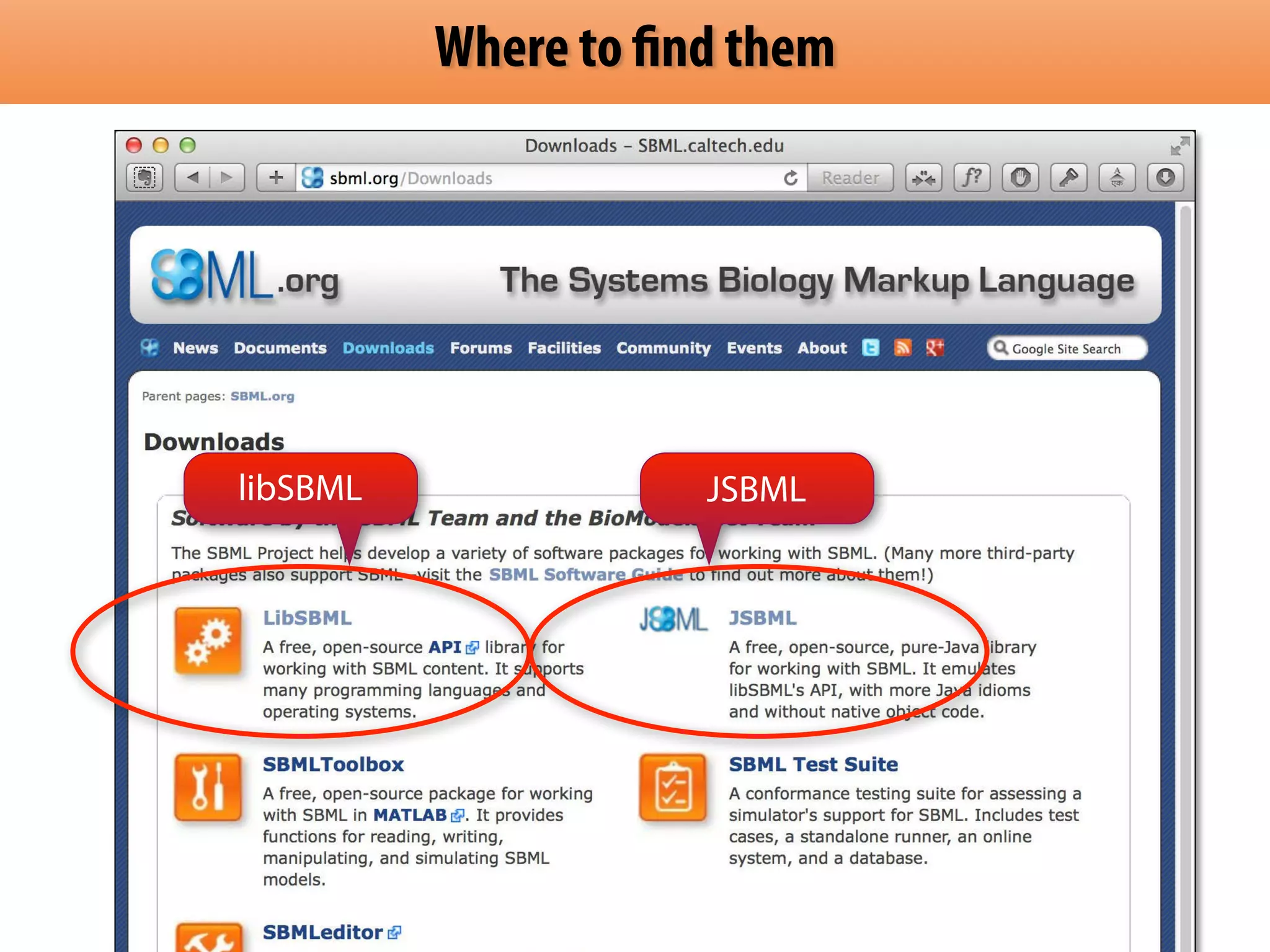 Where to find them 
libSBML JSBML 
 