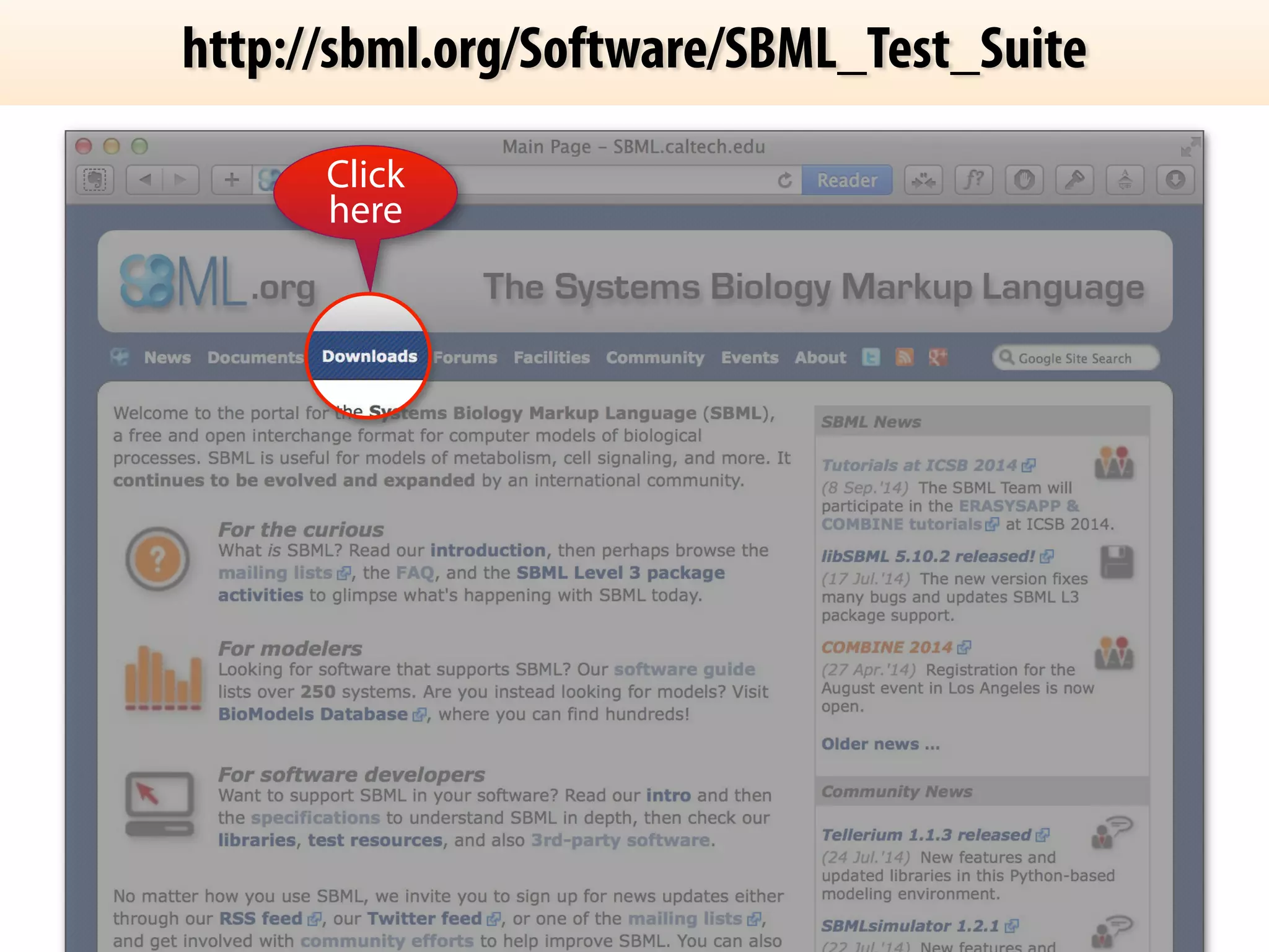 http://sbml.org/Software/SBML_Test_Suite 
Click 
here 
 