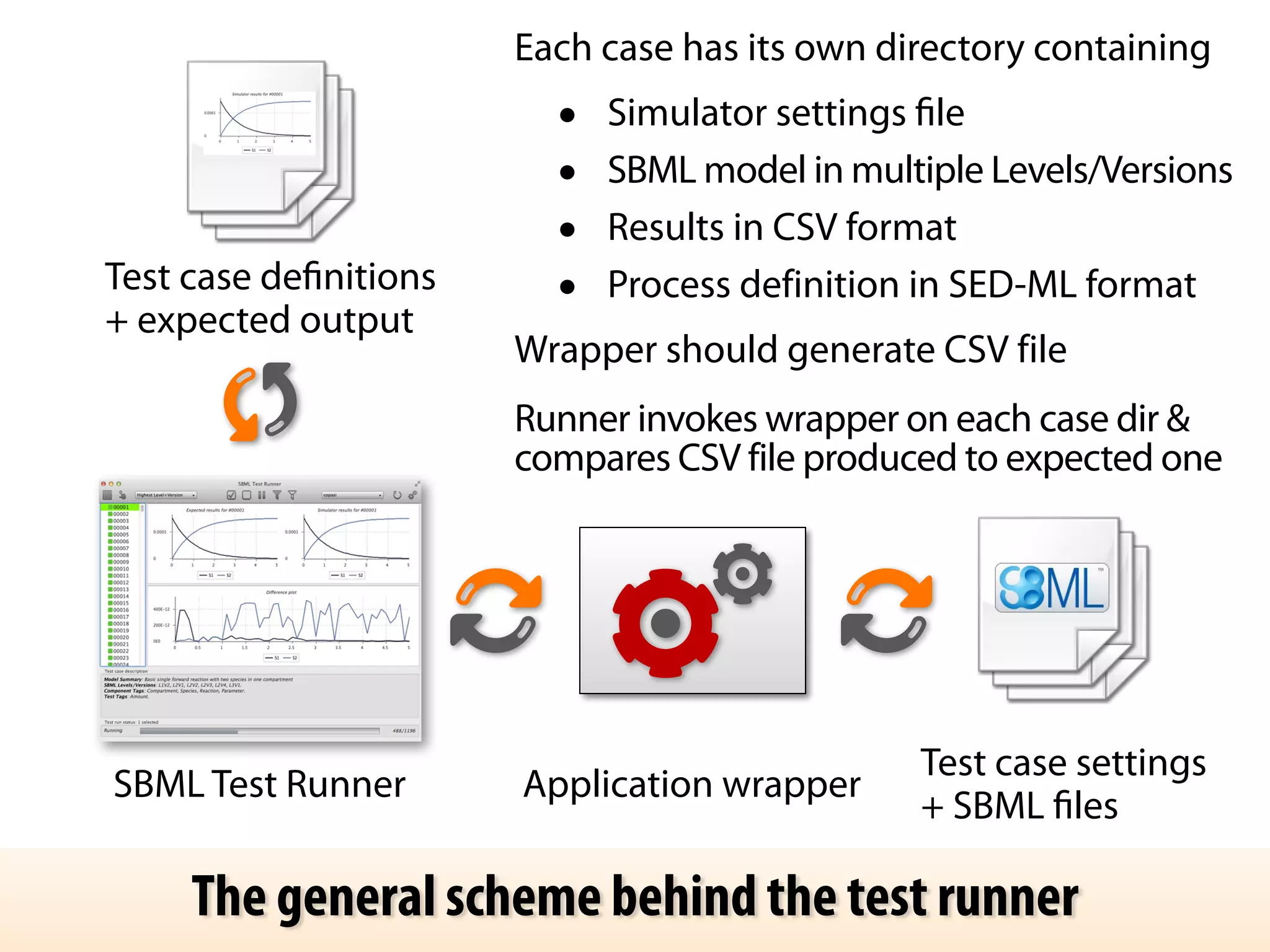 Each case has its own directory containing 
• Simulator settings file 
• SBML model in multiple Levels/Versions 
• Results in CSV format 
• Process definition in SED-ML format 
Wrapper should generate CSV file 
Runner invokes wrapper on each case dir & 
compares CSV file produced to expected one 
Test case definitions 
+ expected output 
SBML Test Runner Application wrapper Test case settings 
+ SBML files 
The general scheme behind the test runner 
 