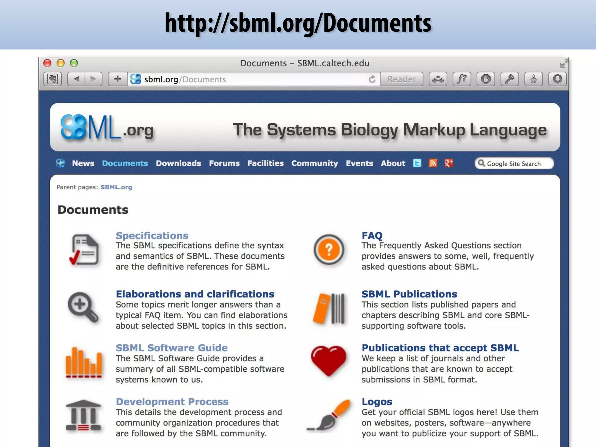 http://sbml.org/Documents 
 