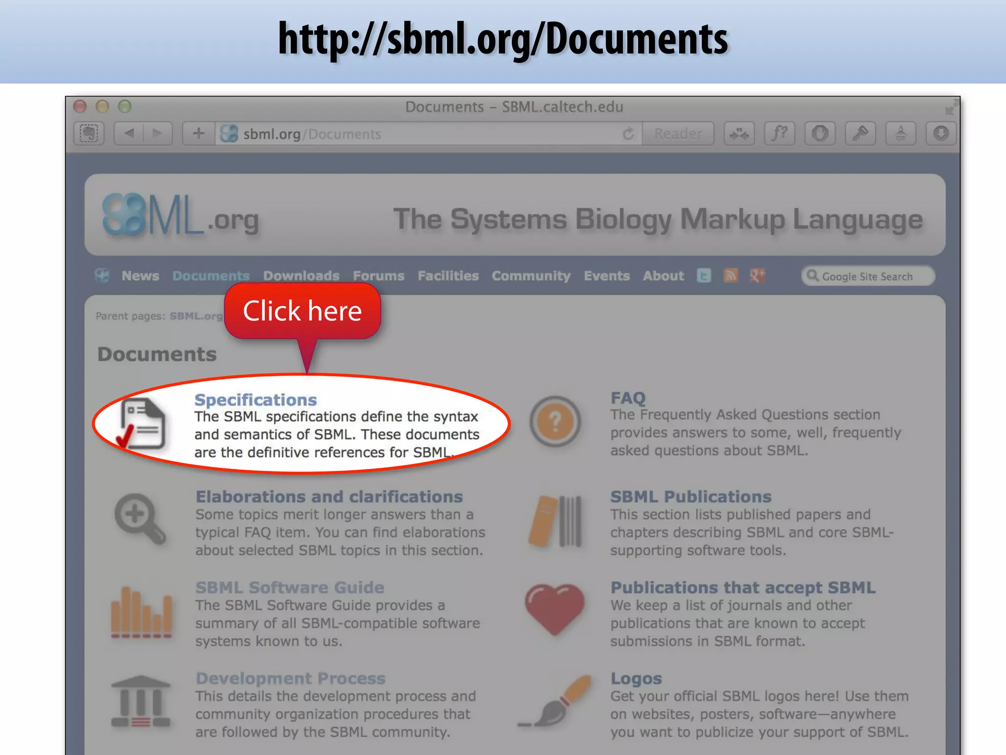 http://sbml.org/Documents 
Click here 
 