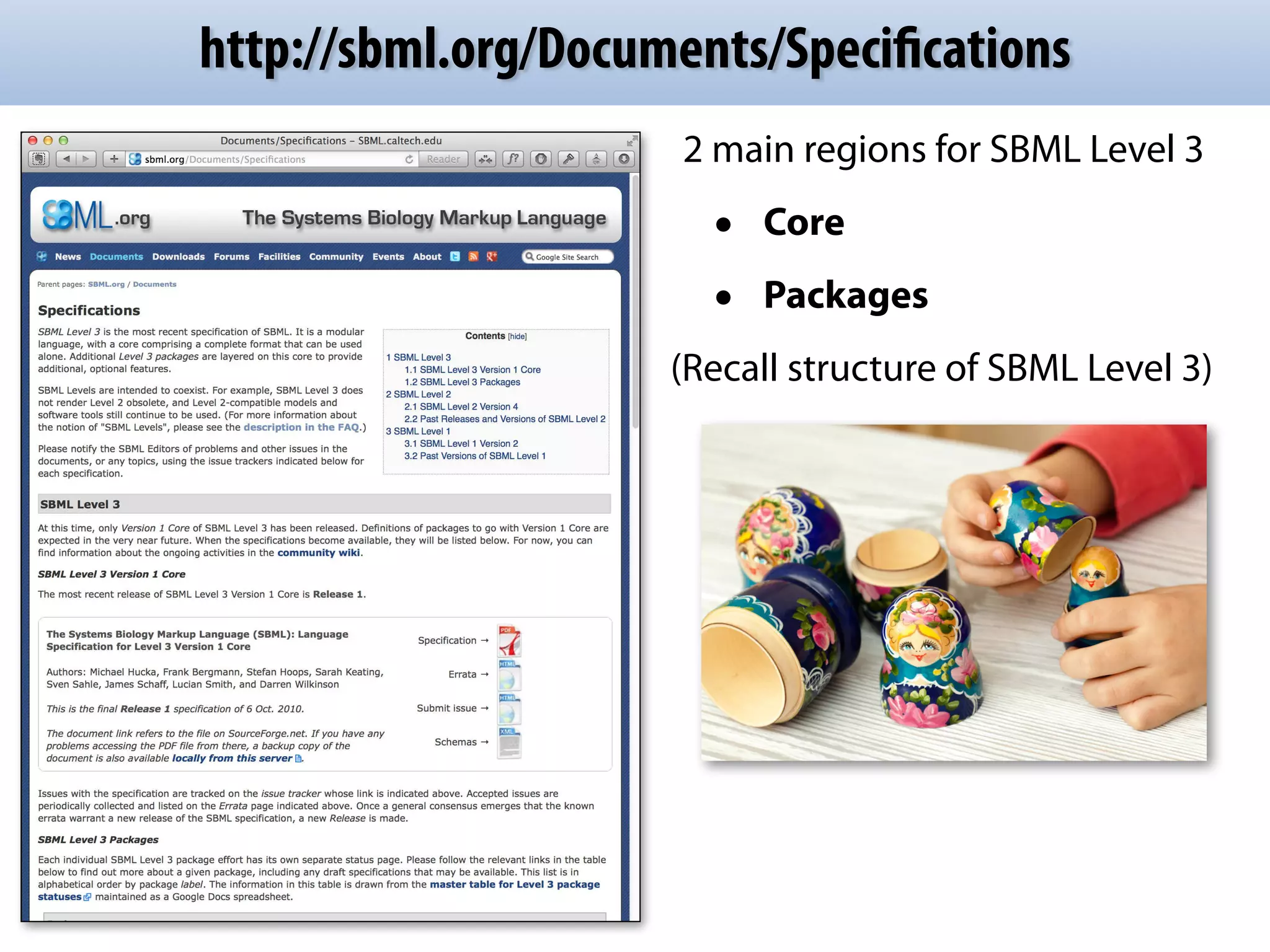 http://sbml.org/Documents/Specifications 
2 main regions for SBML Level 3 
• Core 
• Packages 
(Recall structure of SBML Level 3) 
 