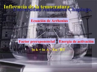 Influencia de la temperatura.Influencia de la temperatura.
ln k = ln A – Ea / RT
Ecuación de Arrhenius
/RTEa
k −
= Ae
Factor preexponencial Energía de activación
Universidad Autónoma Chapingo.Universidad Autónoma Chapingo.
 