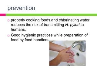 prevention
 properly cooking foods and chlorinating water
reduces the risk of transmitting H. pylori to
humans.
 Good hygienic practices while preparation of
food by food handlers
 