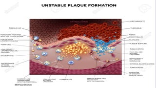 @Dr.Prasad Chinchole
 