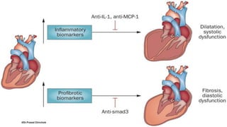 @Dr.Prasad Chinchole
 