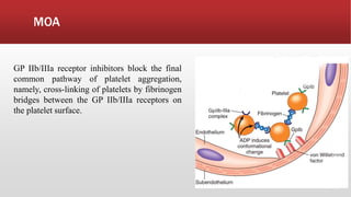 MOA
GP IIb/IIIa receptor inhibitors block the final
common pathway of platelet aggregation,
namely, cross-linking of platelets by fibrinogen
bridges between the GP IIb/IIIa receptors on
the platelet surface.
 