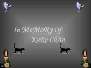 In  MeMoRy  Of  KuRo-ChAn 