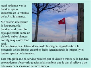 Aquí podemos ver la bandera que se encuentra en la rotonda de la Av. Salamanca. Me pareció interesante la foto porque la bandera es de un color rojo que resalta sobre un cielo de nubes blancas con algún que otro tono azul. La he situado en el lateral derecho de la imagen, dejando sitio a la presencia de los árboles en ambos lados (encuadrando la imagen) y el tercio superior de la imagen. Esta fotografía me ha servido para reflejar el viento a través de la bandera, esto podemos observarlo gracias a las sombras que le dan el relieve y de esta manera la sensación de movimiento. 