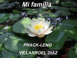 Mi familia PHACK-LENG  VILLARROEL DIAZ 