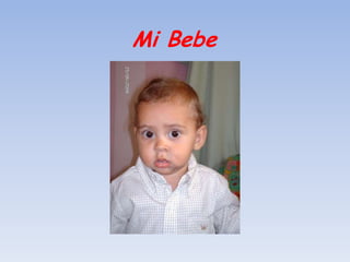 Mi Bebe