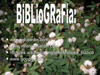 Mi Mo Sa Pu Di Ca Miguel Gra.