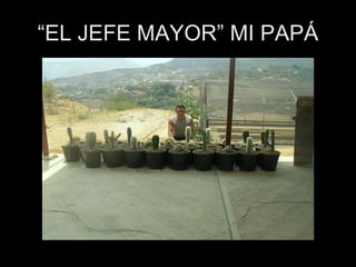 “ EL JEFE MAYOR” MI PAPÁ 