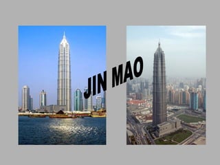 JIN MAO 