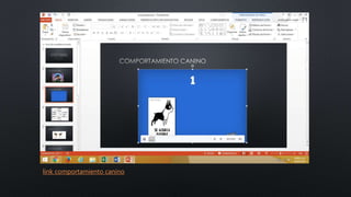 link comportamiento canino
 