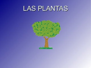 LAS PLANTAS 
