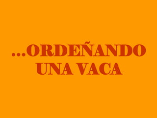 … ORDEÑANDO UNA VACA 
